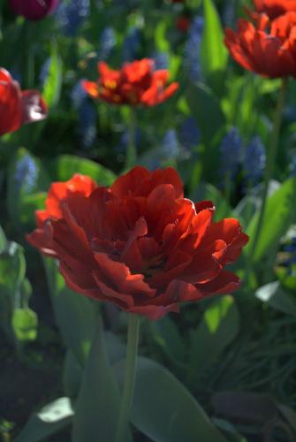 ��������