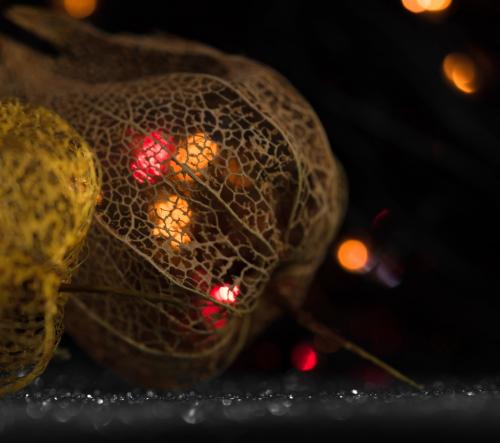 ��������������� ������� 