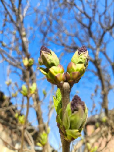 ������� ������