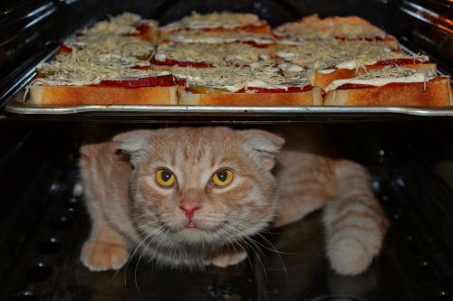 �� �� ��� �������... 