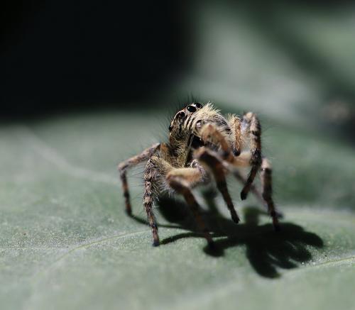 ���� ��� �� ���� ��� � ��� ������.