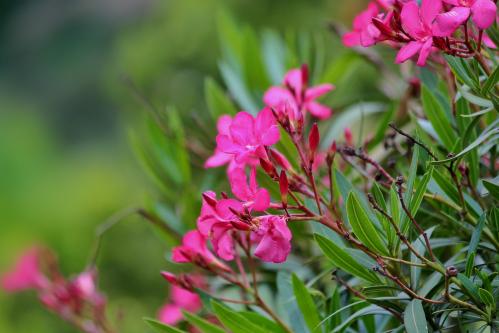 �������. 