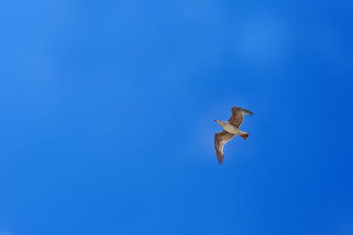 ���� �����. 