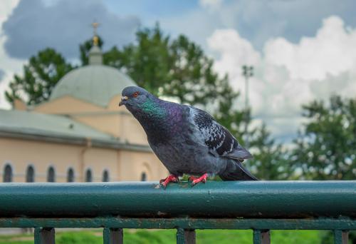 ��� ����?