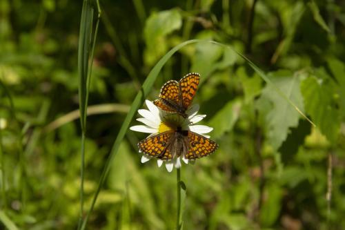 ���� ���������� ������!