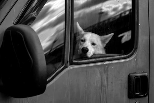 ������� ��� �������