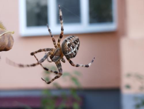 � � ��� �� �����