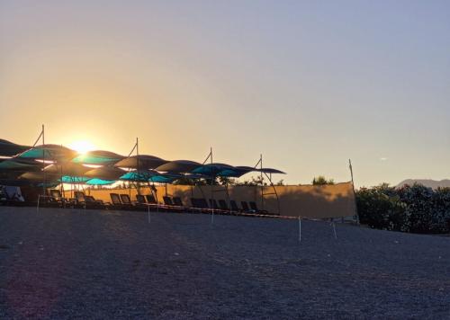 ��� ������ ��������