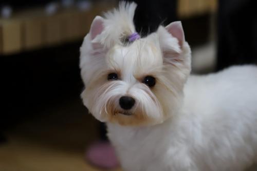 ���������� ���� 