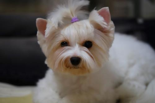 ���� ����� �� ����� �