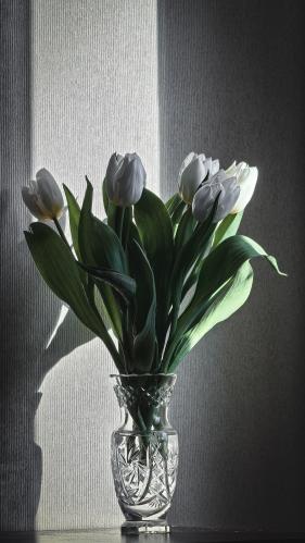 ����� �� ����