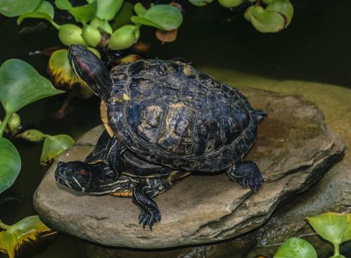 ����� ������ � ���� ���� ������