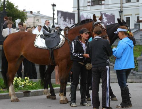 �� ���������