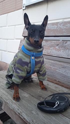 ���� ��������� 