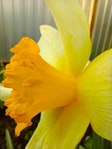 �������. ���������