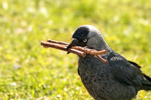 � ��������� �� ����������. 