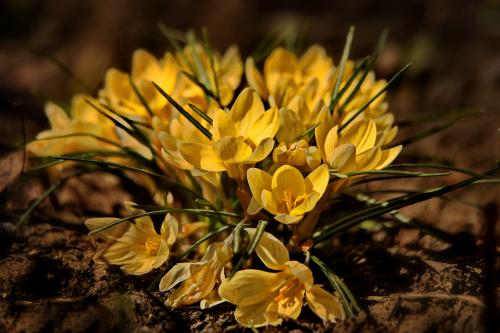 �������. 