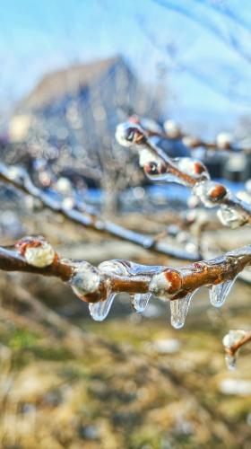 ����� ��������� �������� �����