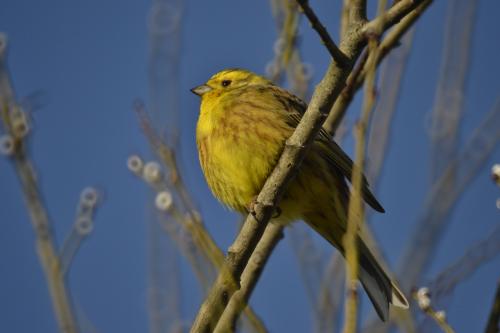 ����� ��������� 