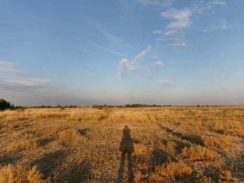 ������� �������