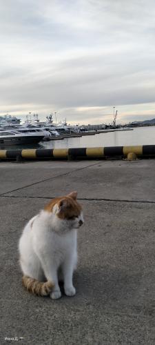 ����� �� ���� �����...