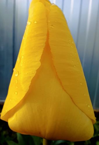 Ƹ���� ������� 