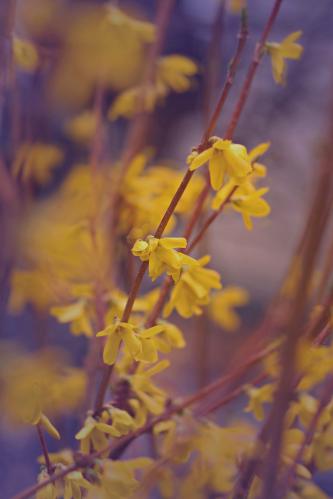 �������� ������. 