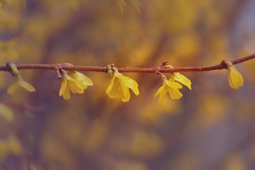 ��������. 