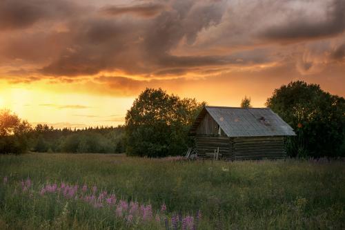 ����� �����