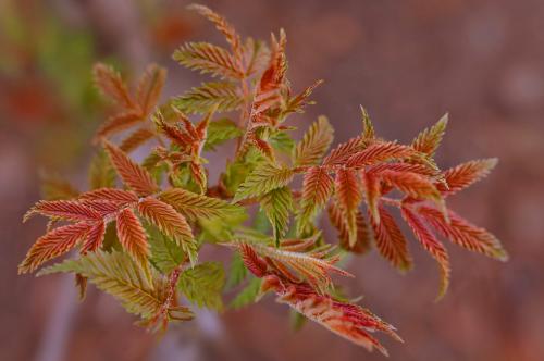 �������� �������������. 