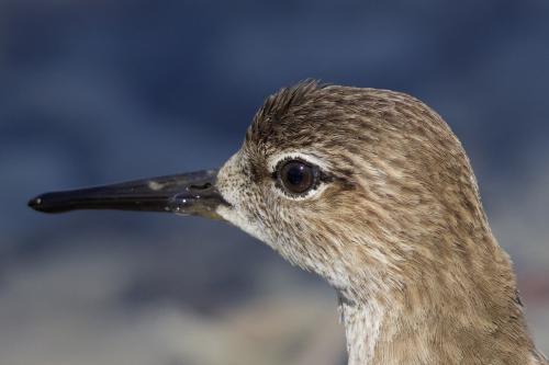 ������� ������ � ��������� � �����