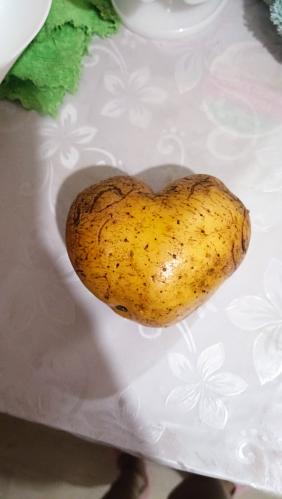 ��� ������ )