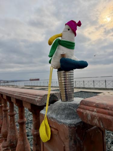 ��������������