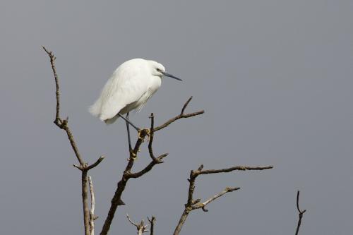 ����� �� ������