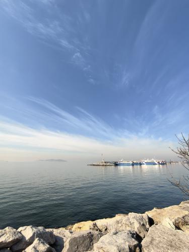 ���� ����