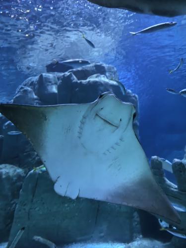 ����������, ��� ������� ������� ������!