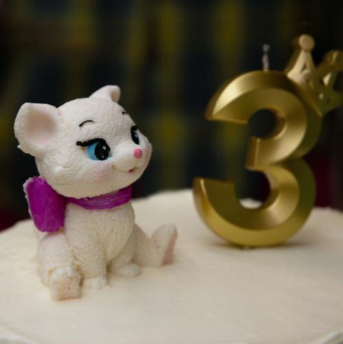 ����� �������