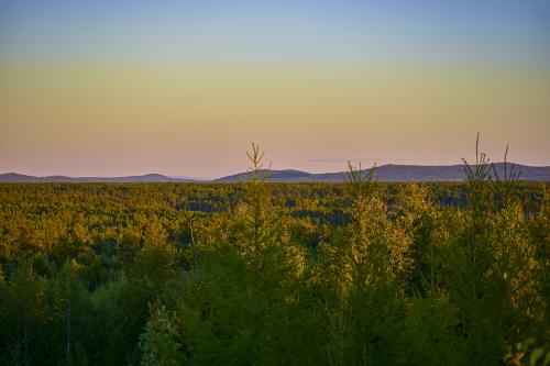 ������� ����� ��� ���������� �����