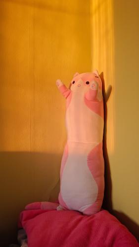 ����� �����