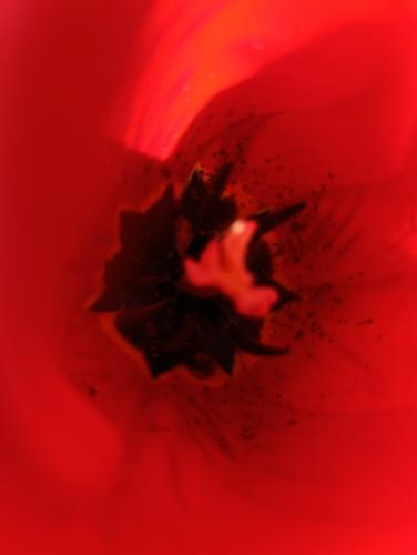 �������. ������ �������