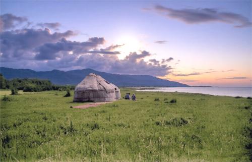 �� ������ �����-����