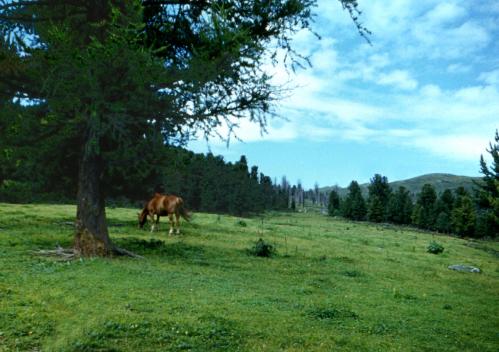 �������