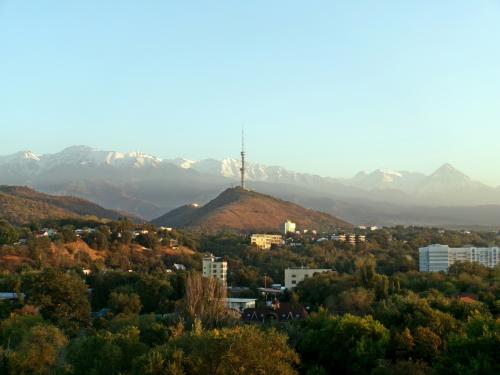 ����� ������