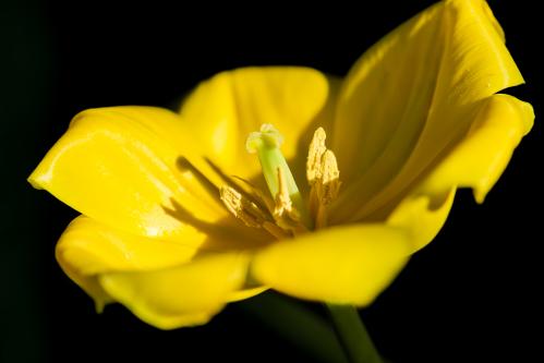 Ƹ���� �������