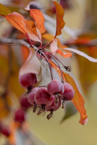 ����� ������������ ������