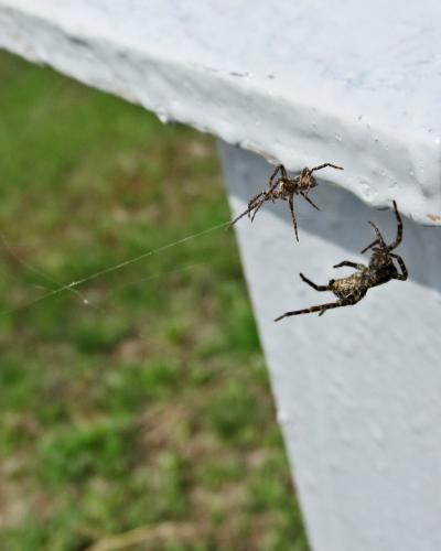 �������