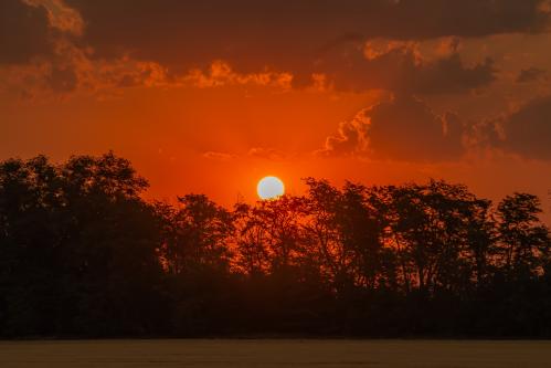 ����� �������