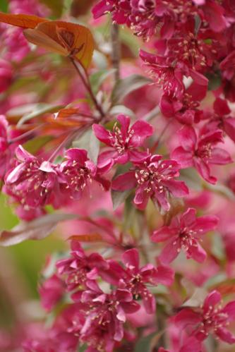 �������� ������������ ������