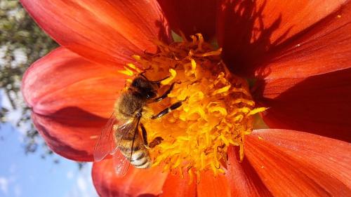 ���� �������