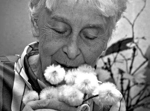 ����������...